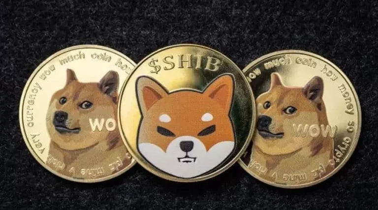 Shiba Inu: Beyond the Meme – Exploring the Technology, Community, and Investment Potential
